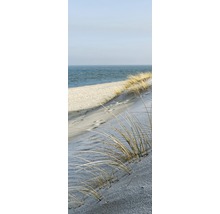 Dünengras am Strand