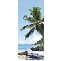 Palme am Strand mit Felsen und blauem Meer