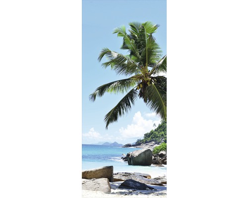 Palme am Strand mit Felsen und blauem Meer