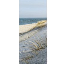Düne mit Strandhafer vor Meer
