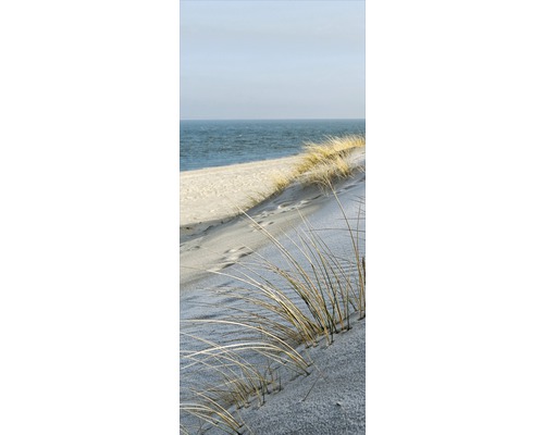 Düne mit Strandhafer vor Meer