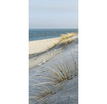 Strandhafer auf einer Düne am Meer