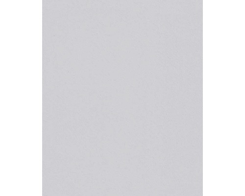 Erfurt Vlies-Rauhfaser 1000658 Viva 15x0,53 m Heller Putz