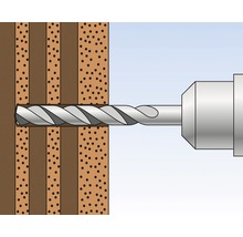 Bohrer bohrt in Holz