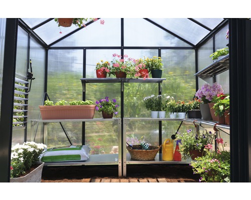 Gewächshaus mit Regalen und verschiedenen Pflanzen in Töpfen und Behältern.