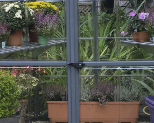 Gewächshaus mit Pflanzen in Töpfen und Blumenkästen