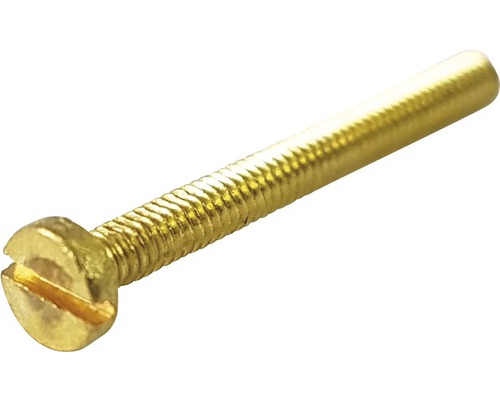 Zylinderschraube Messing DIN 84 M2 x 12 mm Pack=10 Stück Schlitzschraube aus Metall