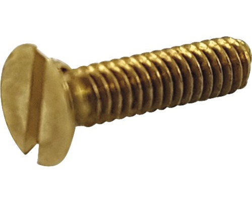 Linsenkopfschraube Messing DIN964 M2 x 6 mm Pack= 20 Stück Messingschraube mit Schlitzkopf