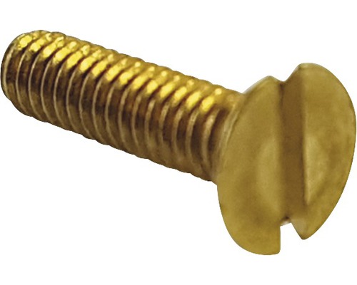 Schlitzschraube aus Metall