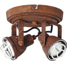 Deckenleuchte mit zwei Strahlern im Industriedesign