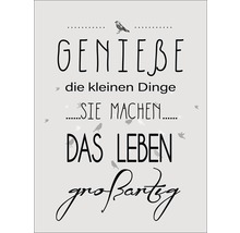 Decopanel Genieße Das Leben 30x40 cm