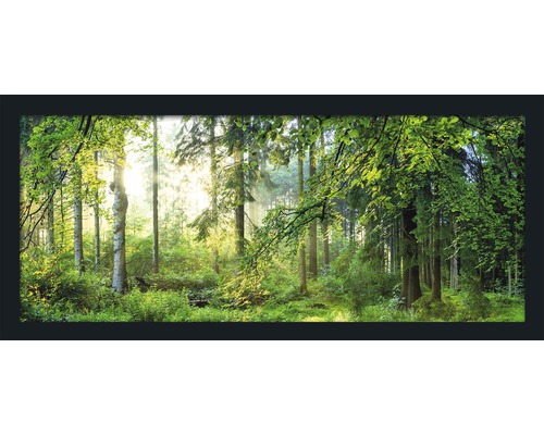 Gerahmtes Bild Forest Harmony 130x60 cm