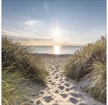 Blick auf einen Sandweg zum Strand mit Dünenlandschaft im Sonnenlicht.