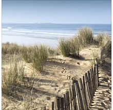 Strandhafer auf Sanddünen mit Holzzaun am Strand