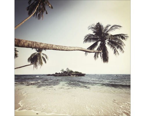Leinwandbild Palms On Beach I 27x27 cm