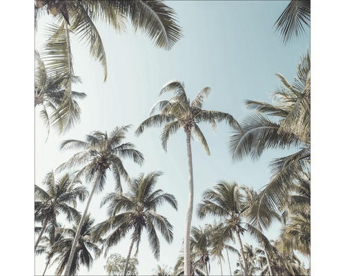 Leinwandbild Palms On Beach II 27x27 cm