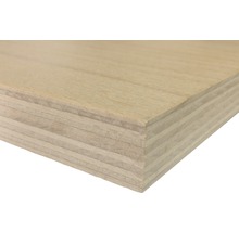 Multiplexplatte Eucalyptus mit Buche Deckfurniert 2200x1250x18mm (Zuschnitt online reservierbar)-thumb-2