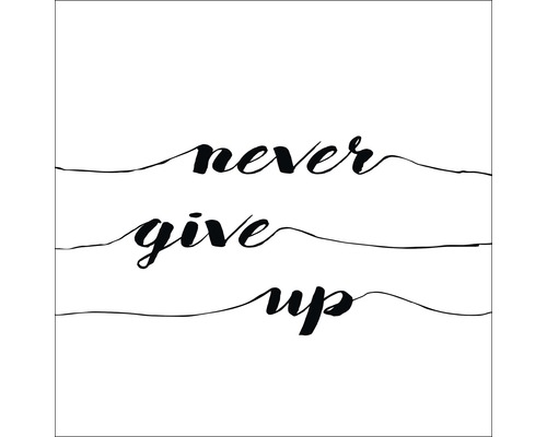 Illustration mit dem Schriftzug Never Give Up