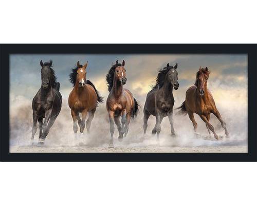 Gerahmtes Bild 5 Horses 130x60 cm