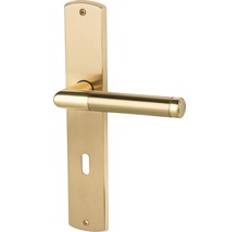 Türdrücker mit Langschild für Innentüren