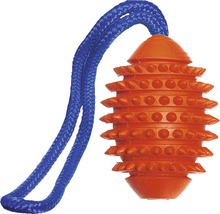 Hundespielzeug aus Gummi mit Seil