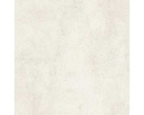 Feinsteinzeug Wand- und Bodenfliese HOMEtek Ivory matt 60 x 60 cm Feinsteinzeug Wand- und Bodenfliese HOMEtek Ivory matt 60 x 60 cm