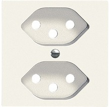 Doppelsteckdose für die Wandmontage