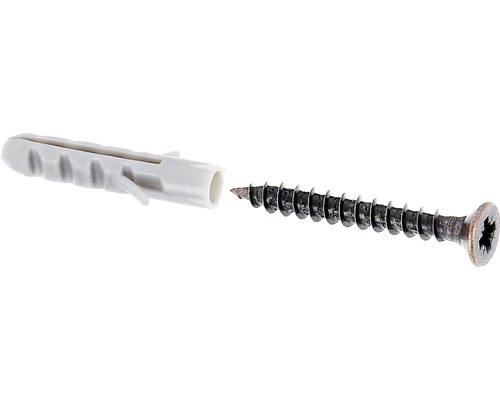 Schrauben- und Dübel-Set brüniert 3x25 mm 10 Stück Kunststoffdübel und Schraube