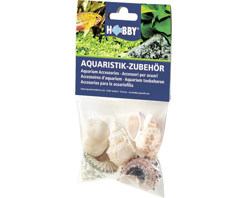 Aquariumdekoration Hobby Schneckenhäuser Sea Shells Set L 5 Stück