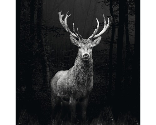 Glasbild Grey Deer Head 30x30 cm GLA2028