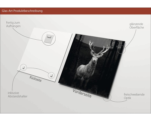 Glasbild mit Hirschmotiv, glänzende Oberfläche, inklusive Abstandshalter zur einfachen Montage