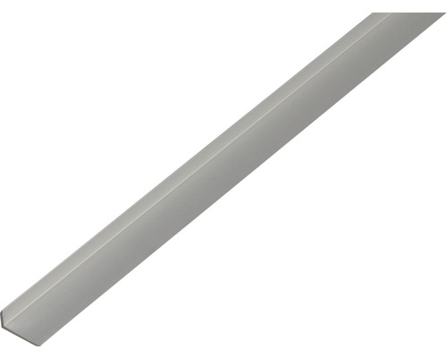 Winkelprofil Alu silber eloxiert 19x8x1,6 mm, 1 m