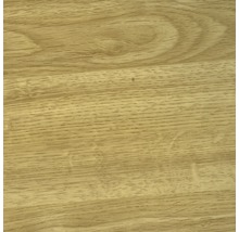 Klebefolie Venilia Perfect Fix® Eiche hell 67,5x200 cm