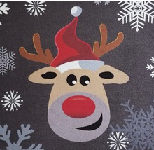 Schmutzfangmatte Red Nose Hirsch 45x75 cm