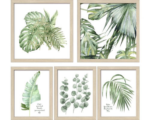 Gerahmtes Bild Green Plant Collage 5er-Set 57x47 cm