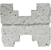 Betonpflasterstein im H-Profil