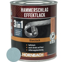 Dose Hammerschlag Effektlack 3in1 von Hornbach