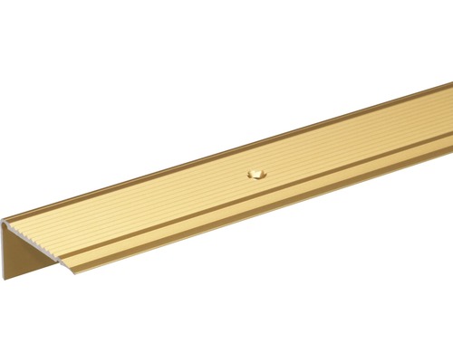 Treppenprofil Alu gold eloxiert 45x23x2,7 mm, 1 m