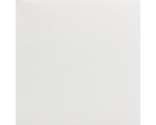 LECO Malerglasvlies 3565012080 weiß pigmentiert 195 g/m² 50 m x 1 m
