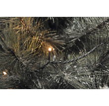 Nahaufnahme von Zweigen eines Weihnachtsbaums mit Lichterkette