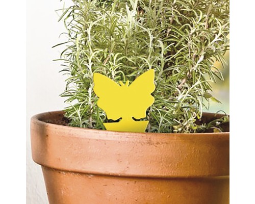 Gelbe Schädlingsfalle in Schmetterlingsform in einem Pflanzentopf.