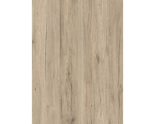 d-c-fix® Klebefolie Holzdekor Sanremo Eiche sand 90x210 cm Holzstruktur für den Innenausbau