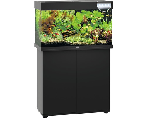 Komplettes Aquarium mit Unterschrank und Beleuchtung.