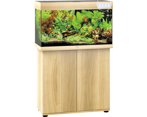 Aquariumkombination mit Unterschrank, bepflanzt und mit Fischen besetzt