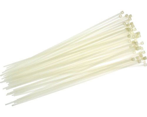 Haupa 262538 Kabelbinder 610x8,8 mm Nylon transparent 50 Stück Bündel Kabelbinder aus Kunststoff