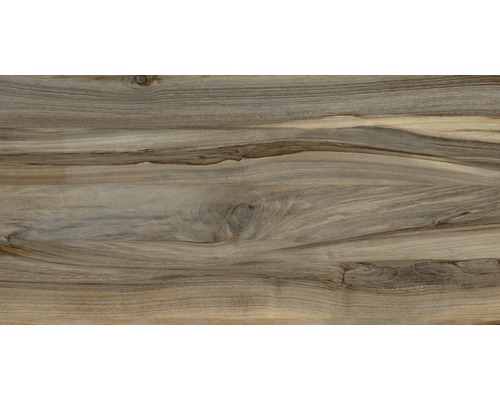 Feinsteinzeug Wand- und Bodenfliese Meridian Walnut glas. 43 x 88 cm