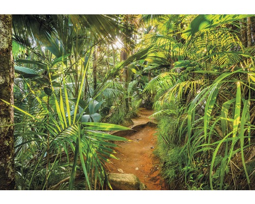 Fototapete Papier 8-989 VOL 15 Jungle Trail 8-tlg. 368 x 254 cm
