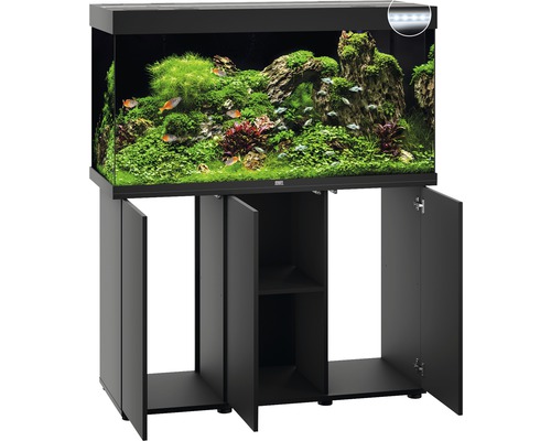 Schwarzes Aquarium mit Unterschrank, befüllt mit Fischen und Pflanzen