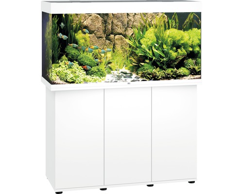 Aquariumdekoration mit Luftsprudler Seestern 13 cm - HORNBACH