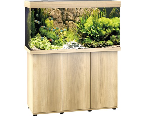 Aquariumdekoration mit Luftsprudler Seestern 13 cm - HORNBACH